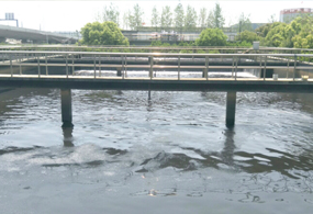 滁州市某化工园区污水处理厂项...