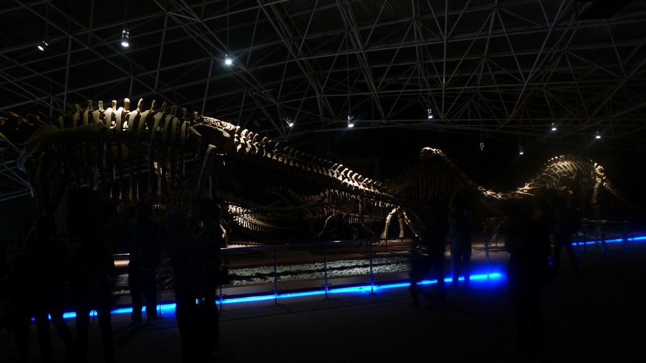 1598237584.png 1598237584.png